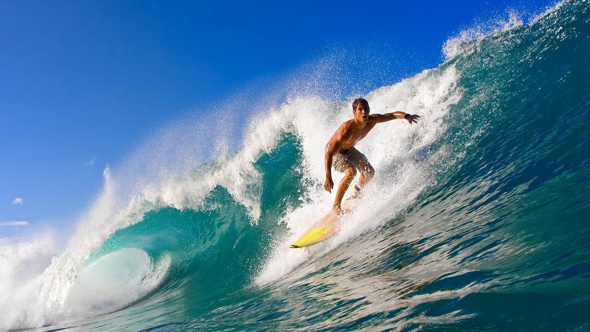 未来足球:智慧场馆实现全场自动能耗调节,绿色节能新标杆,智能化足球场